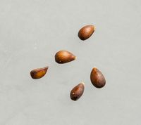 Rød Ananas æblekerner